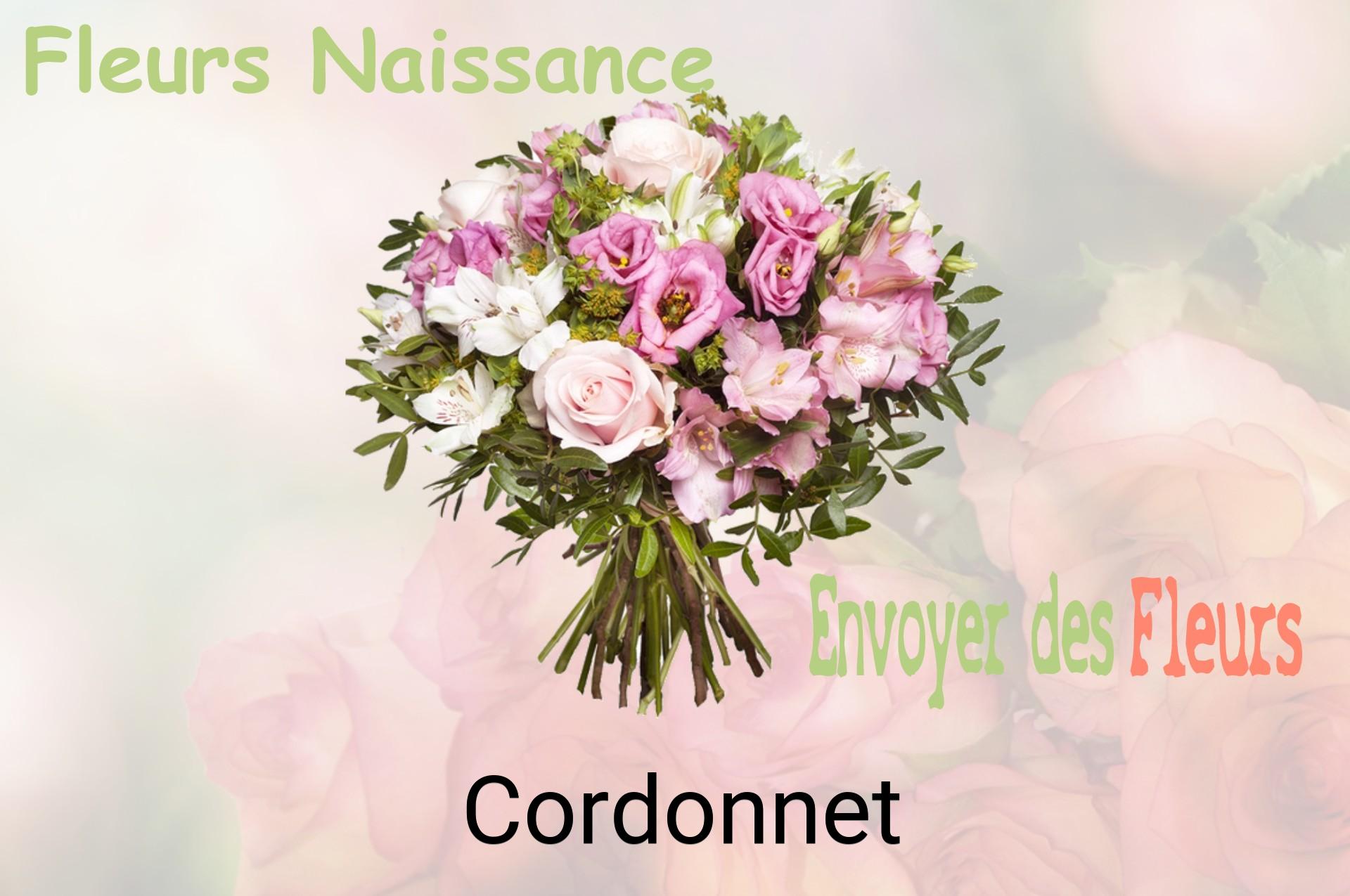 Bouquet de fleurs de naissance livré à Cordonnet
